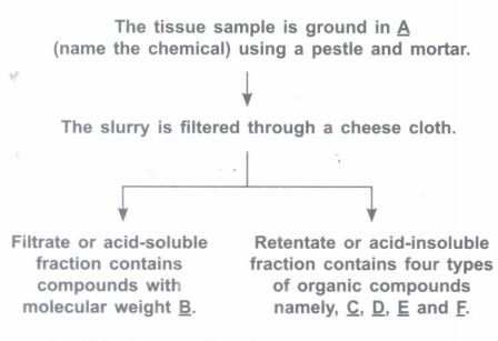 case study 11 biology